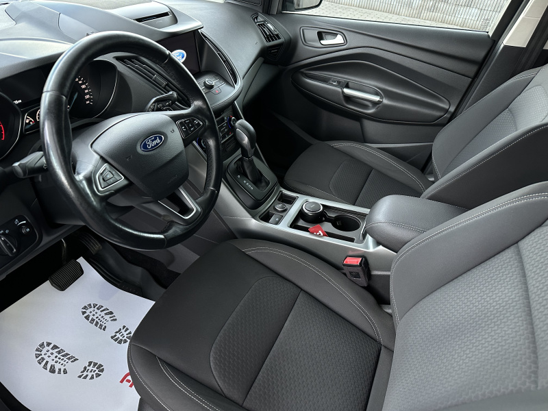  Kuga