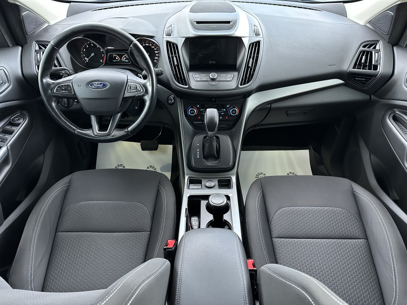  Kuga