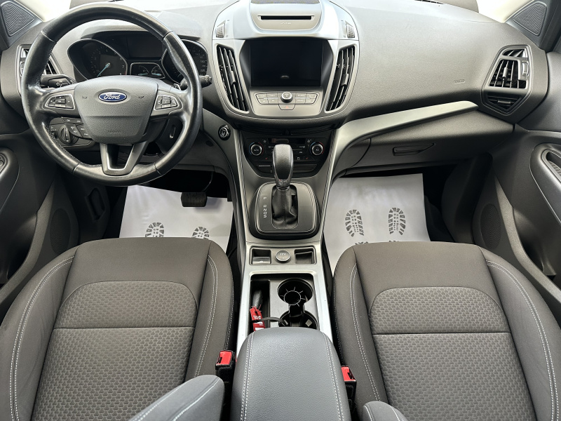  Kuga